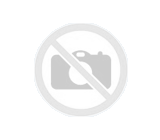 Wanted Dairy Farm to Lease